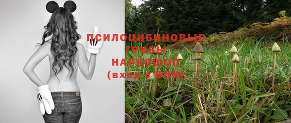 амф Белокуриха