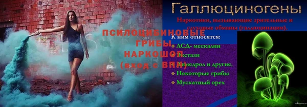 амф Белокуриха